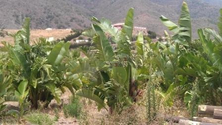 Plots for sale in Estepona Costa Del Sol, Málaga, Spain