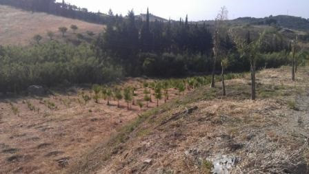 Plots for sale in Estepona Costa Del Sol, Málaga, Spain