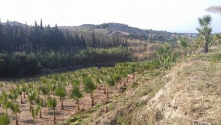 Plots for sale in Estepona Costa Del Sol, Málaga, Spain
