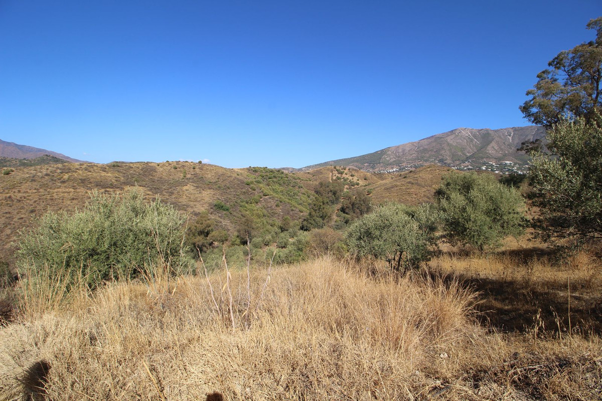 Se vende Terreno Rustico  en Costa Del Sol, Málaga, España