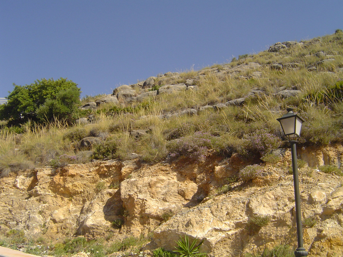 Se vende Terreno Rustico  en Costa Del Sol, Málaga, España