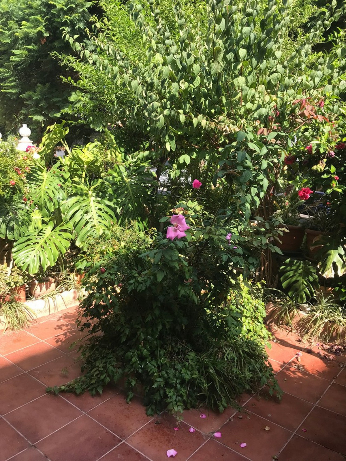 5 Bed Townhouse for sale in Estepona Costa Del Sol, Málaga, Spain