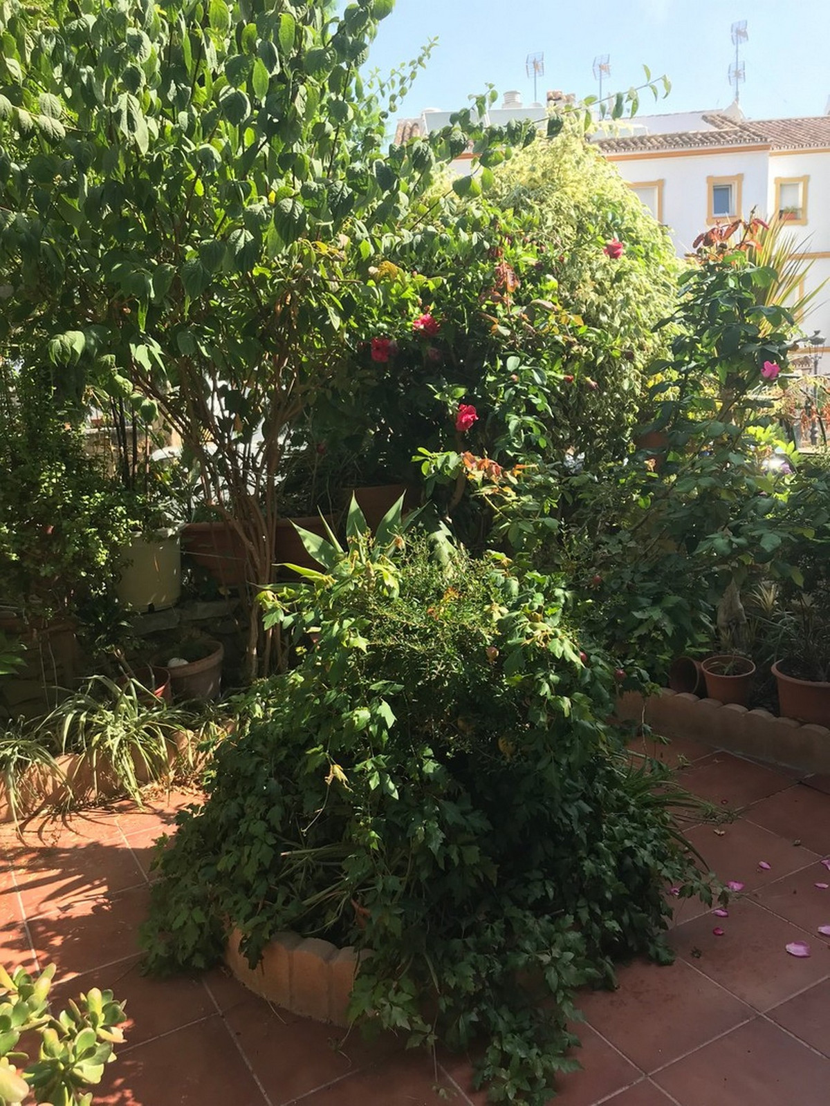 5 Bed Townhouse for sale in Estepona Costa Del Sol, Málaga, Spain