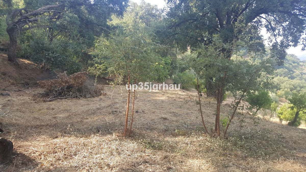 Se vende Terreno Rustico  en Costa Del Sol, Málaga, España
