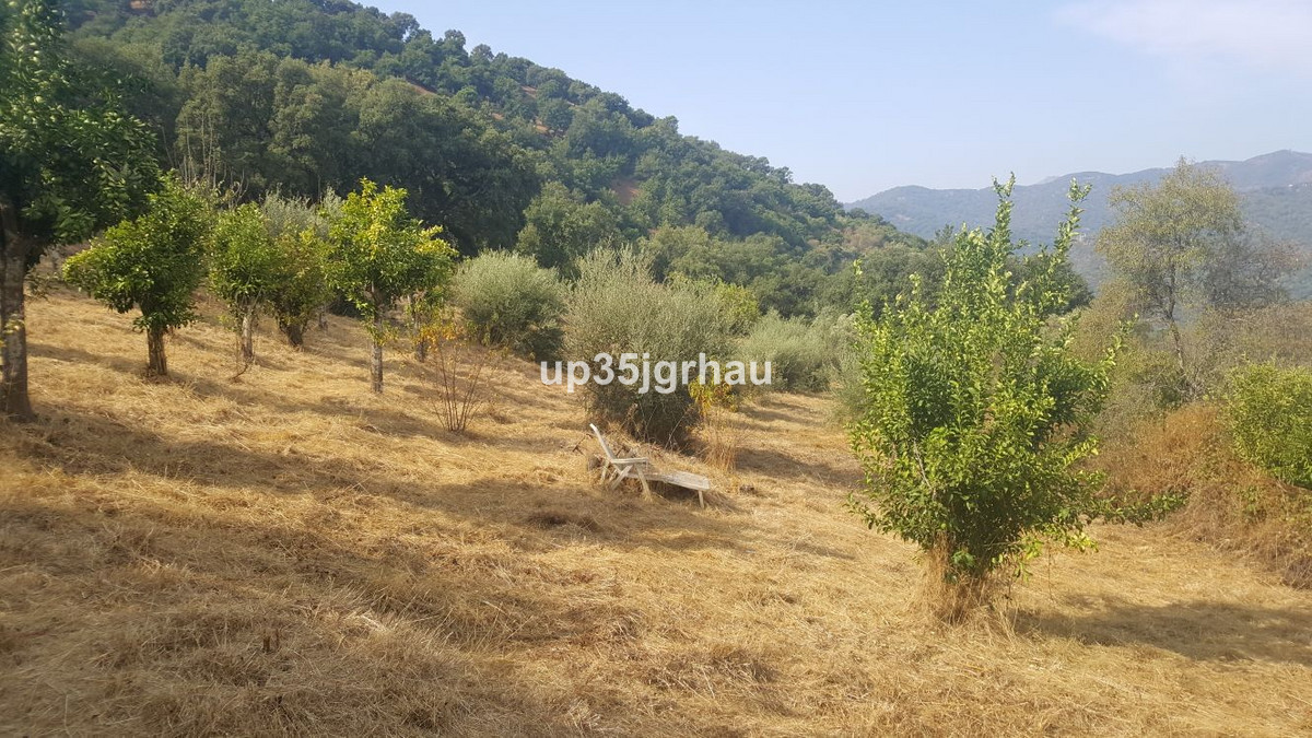 Se vende Terreno Rustico  en Costa Del Sol, Málaga, España
