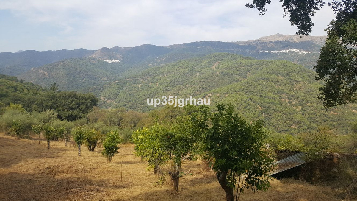 Se vende Terreno Rustico  en Costa Del Sol, Málaga, España