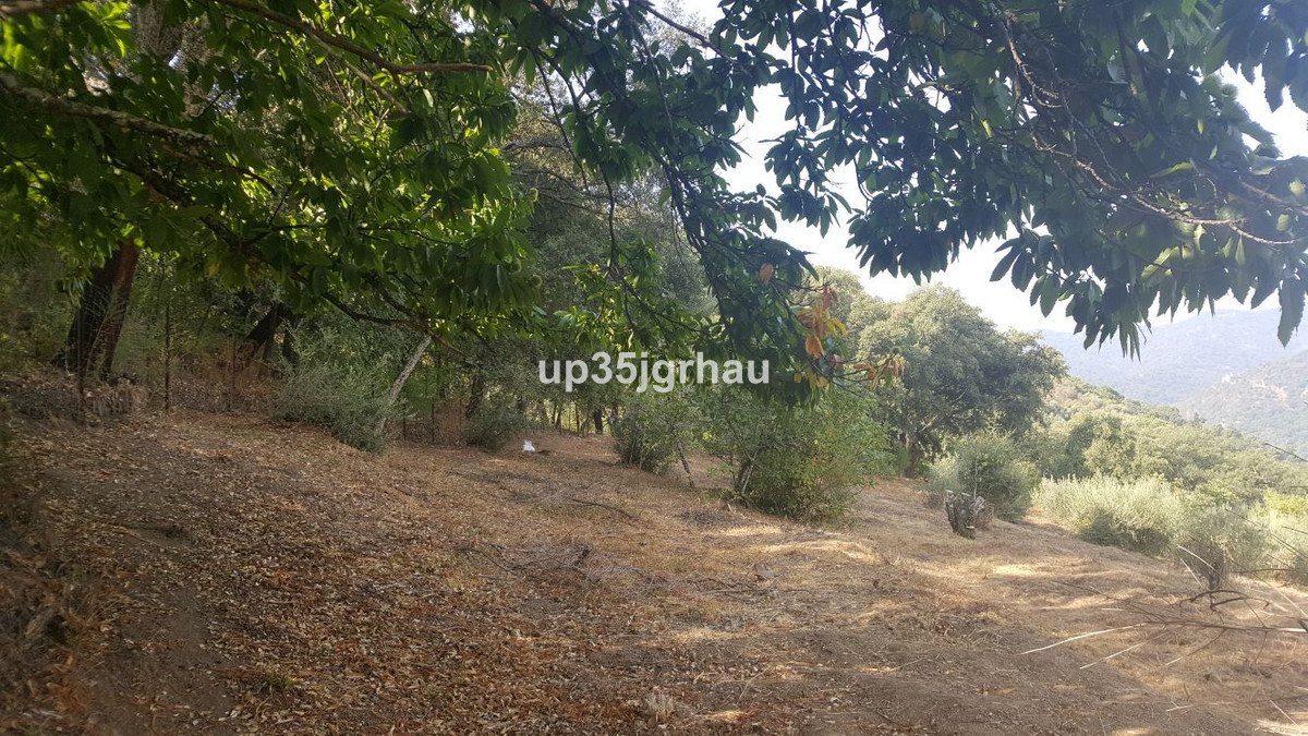 Se vende Terreno Rustico  en Costa Del Sol, Málaga, España