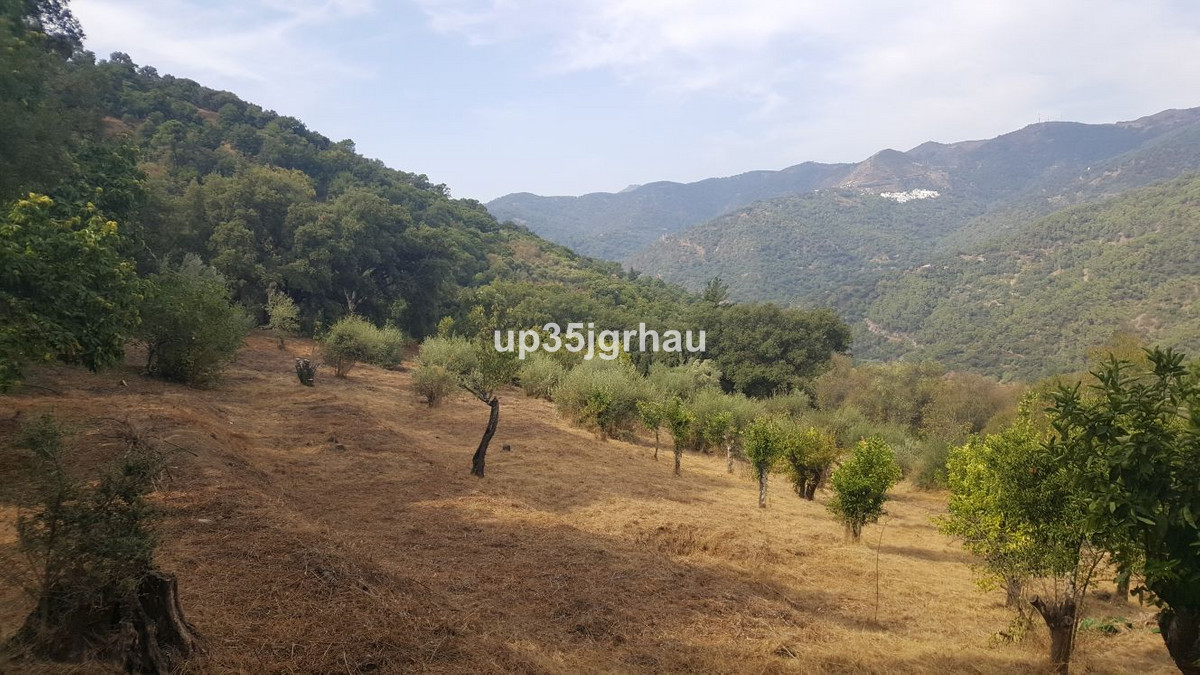 Se vende Terreno Rustico  en Costa Del Sol, Málaga, España