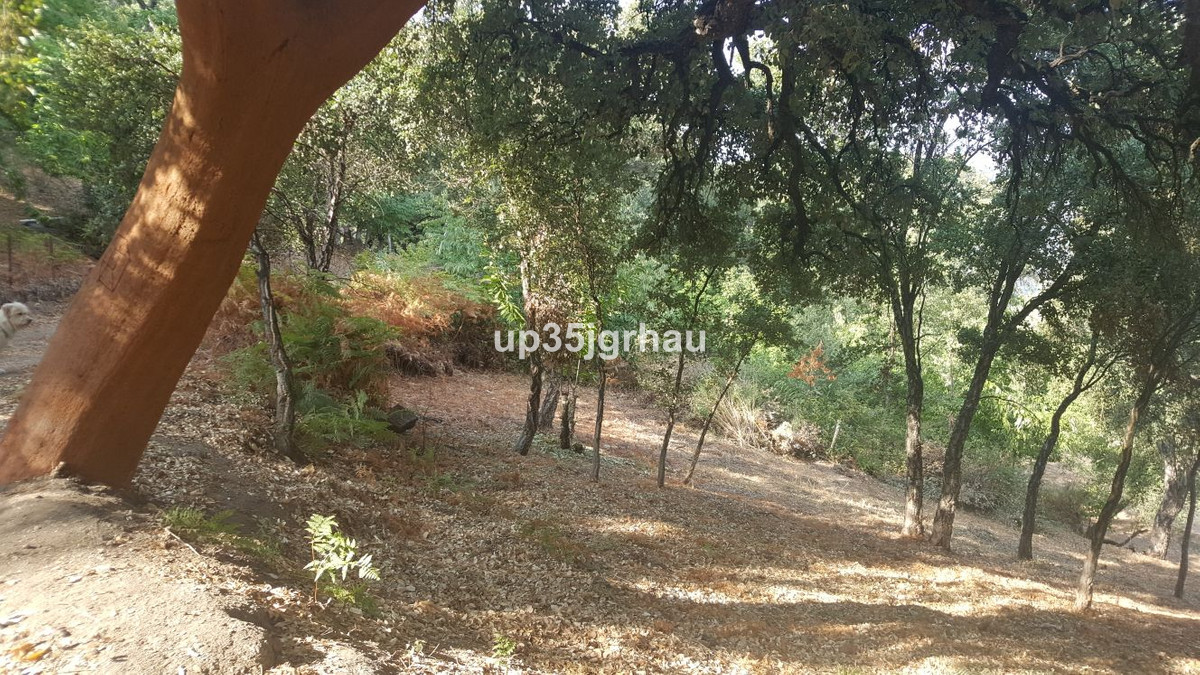 Se vende Terreno Rustico  en Costa Del Sol, Málaga, España