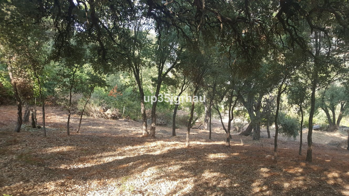 Se vende Terreno Rustico  en Costa Del Sol, Málaga, España