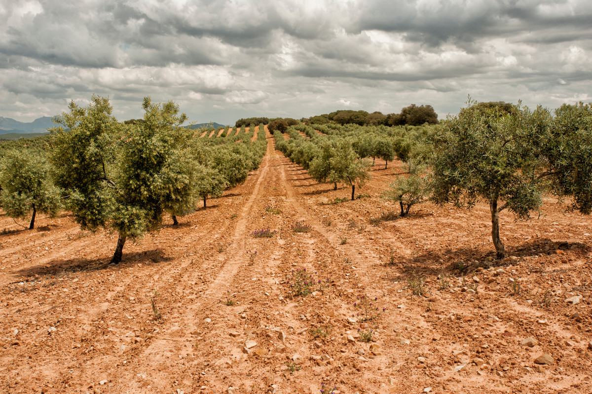 Se vende Finca - Cortijo de 6 dormitorios en Costa Del Sol, Málaga, España
