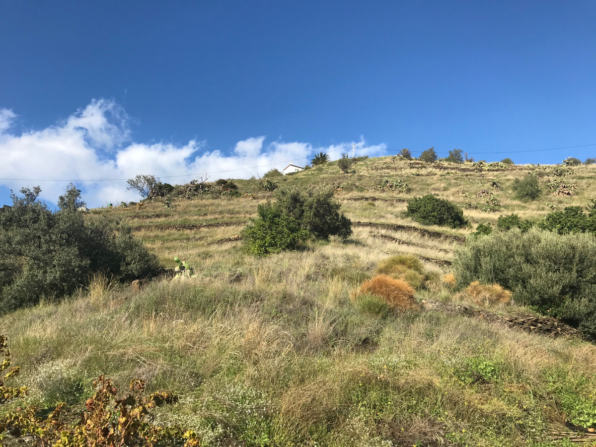 Se vende Terreno Rustico  en Costa Del Sol East, Málaga, España