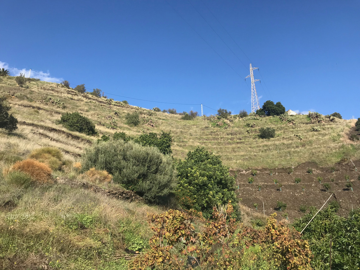 Se vende Terreno Rustico  en Costa Del Sol East, Málaga, España