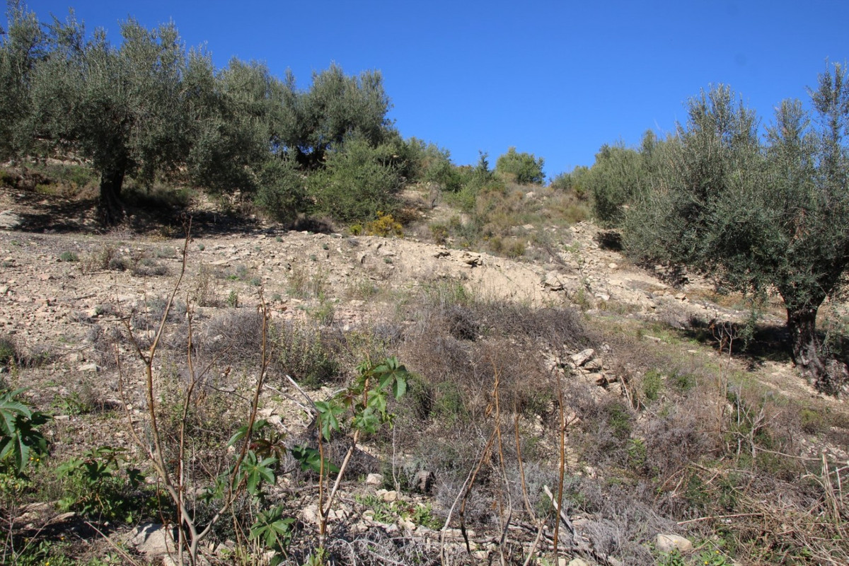 Se vende Terreno Urbano de 1 dormitorios en Costa Del Sol East, Málaga, España
