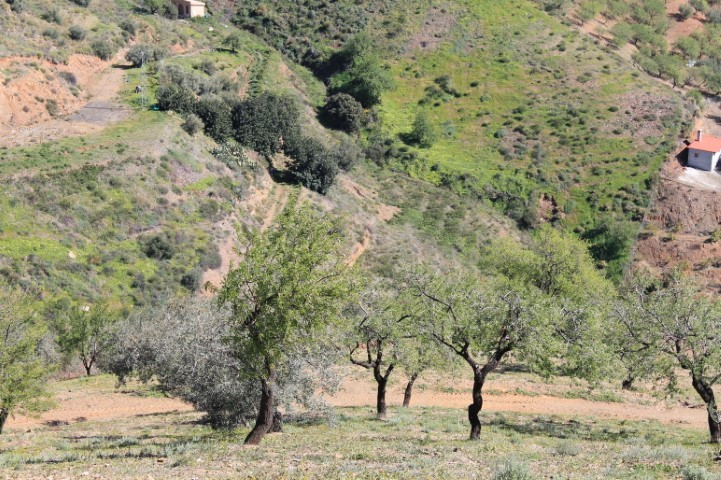 Se vende Terreno Rustico de 1 dormitorios en Costa Del Sol East, Málaga, España