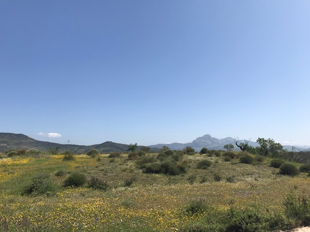 Se vende Terreno Rustico  en Costa Del Sol, Málaga, España