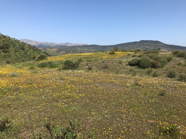 Se vende Terreno Rustico  en Costa Del Sol, Málaga, España