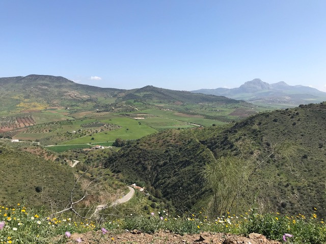 Se vende Terreno Rustico  en Costa Del Sol, Málaga, España