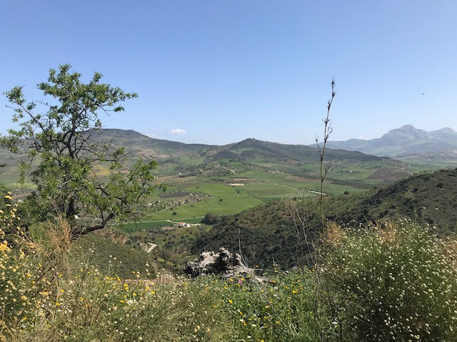 Se vende Terreno Rustico  en Costa Del Sol, Málaga, España