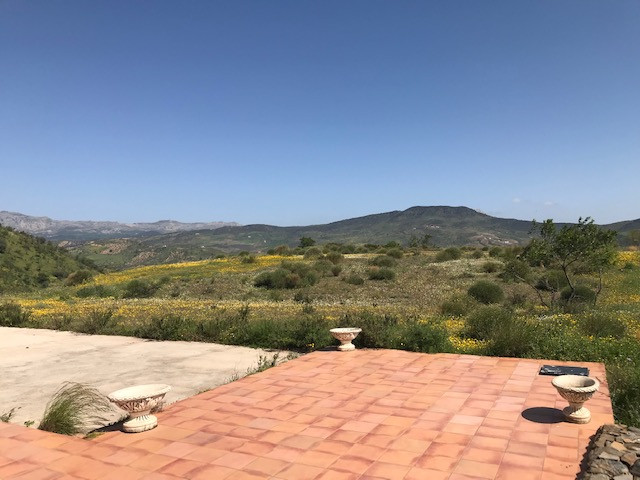 Se vende Terreno Rustico  en Costa Del Sol, Málaga, España