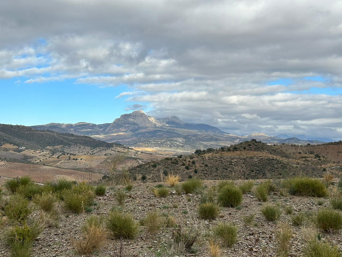 Se vende Terreno Rustico  en Costa Del Sol, Málaga, España