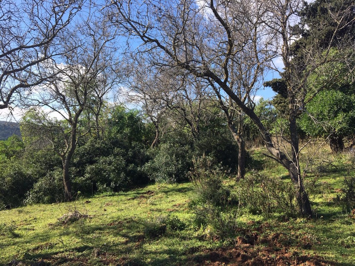 Plots for sale in Manilva Costa Del Sol, Málaga, Spain