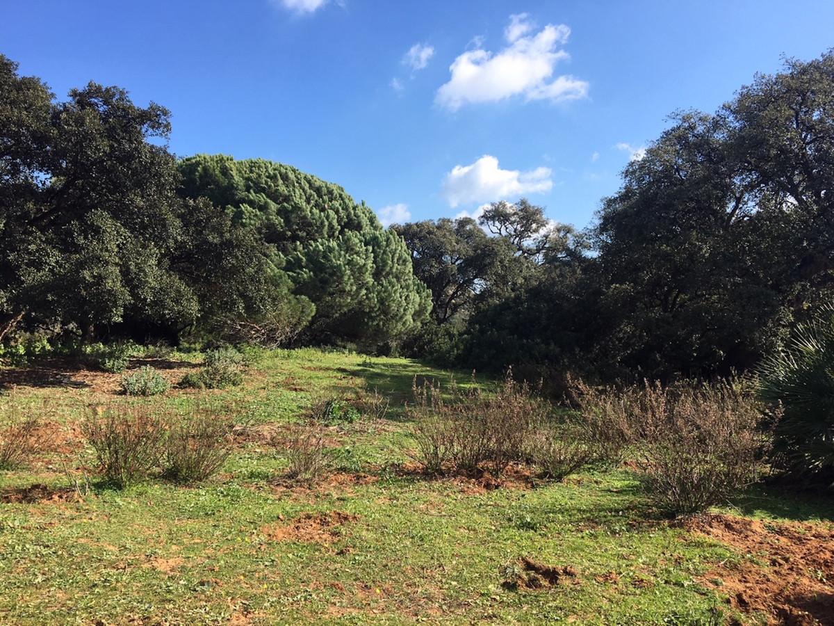 Plots for sale in Manilva Costa Del Sol, Málaga, Spain