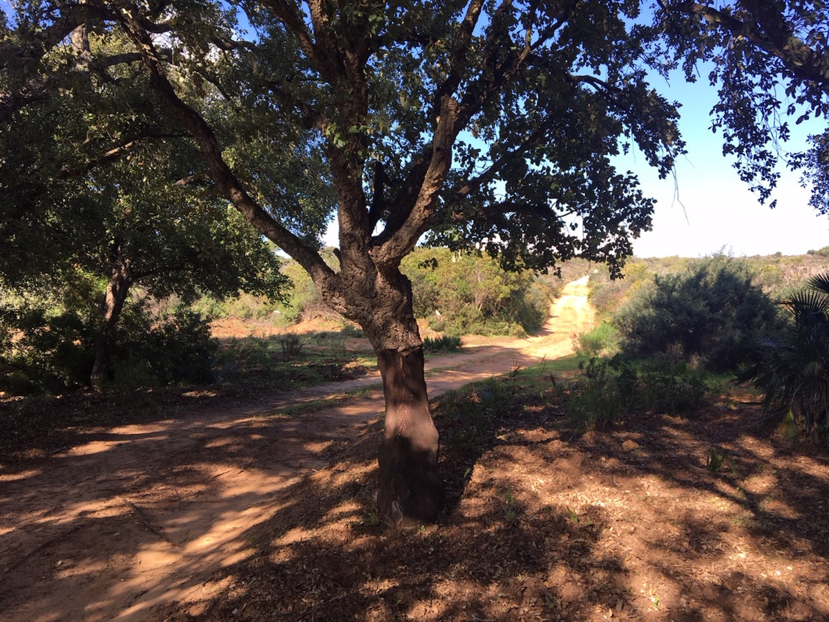 Plots for sale in Manilva Costa Del Sol, Málaga, Spain