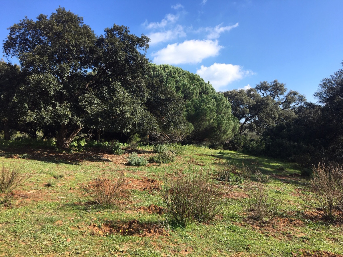 Plots for sale in Manilva Costa Del Sol, Málaga, Spain