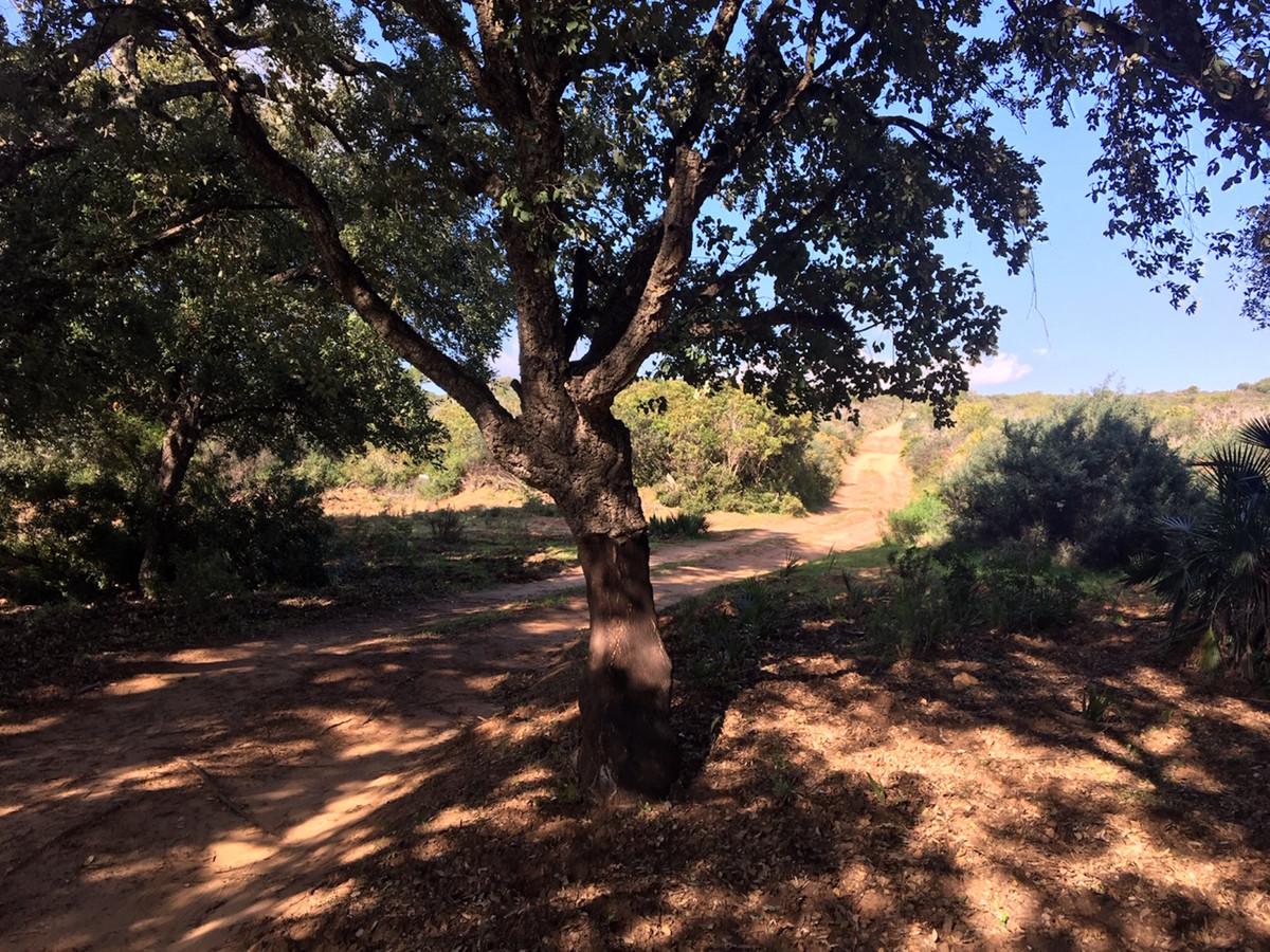 Plots for sale in Manilva Costa Del Sol, Málaga, Spain