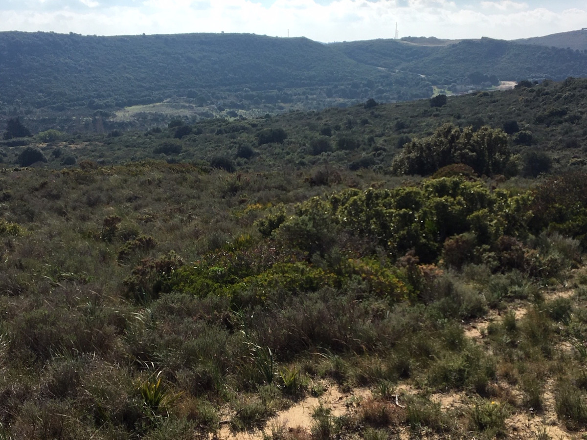 Plots for sale in Manilva Costa Del Sol, Málaga, Spain
