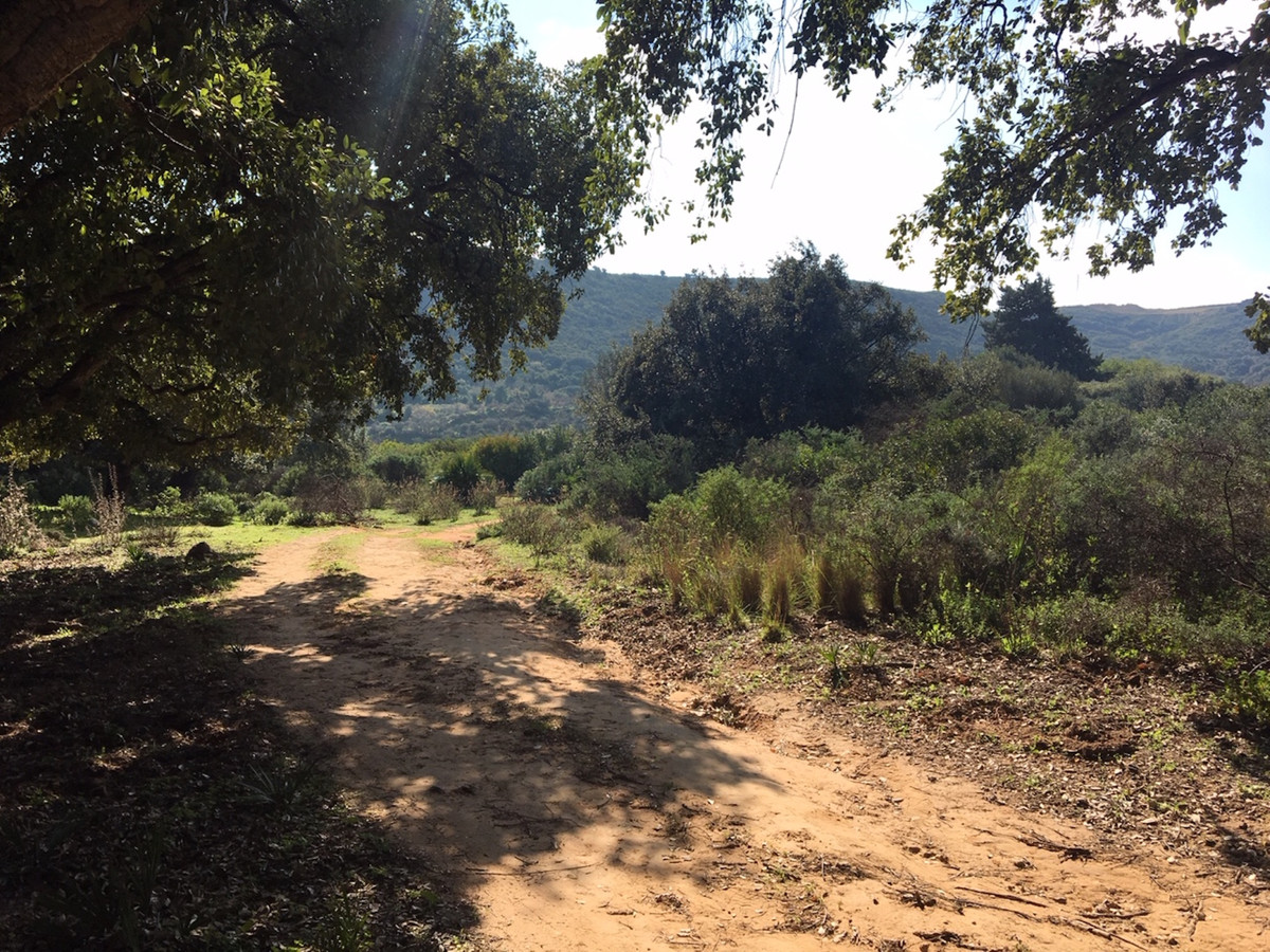 Plots for sale in Manilva Costa Del Sol, Málaga, Spain