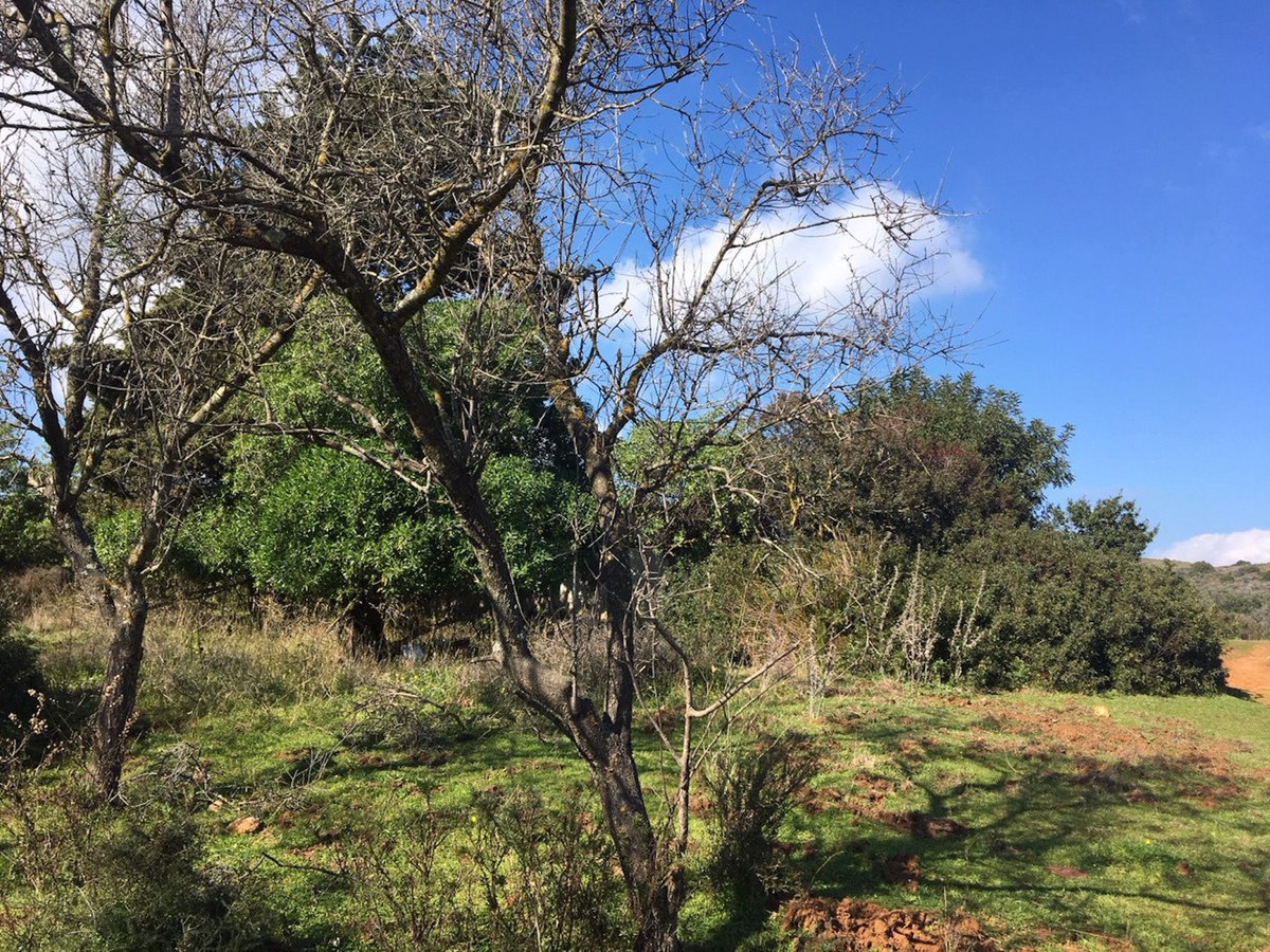 Plots for sale in Manilva Costa Del Sol, Málaga, Spain