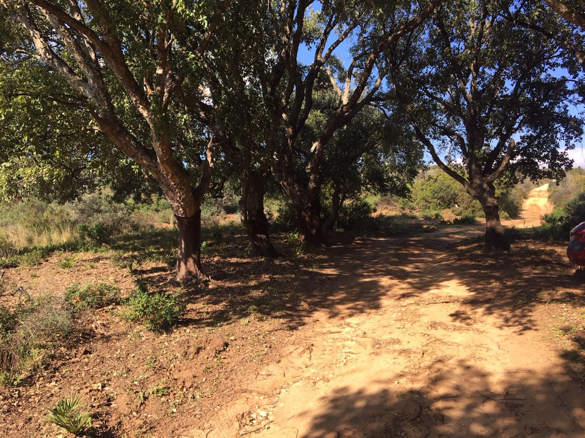 Plots for sale in Manilva Costa Del Sol, Málaga, Spain
