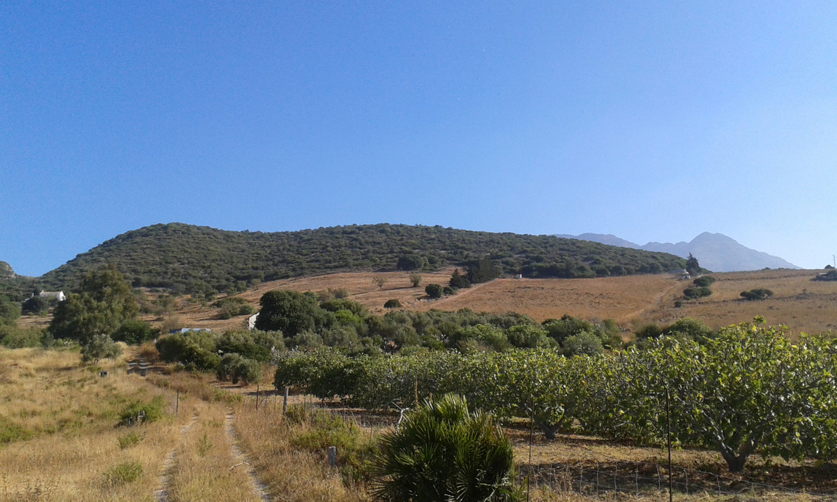 Se vende Terreno con Ruina  en Costa Del Sol, Málaga, España