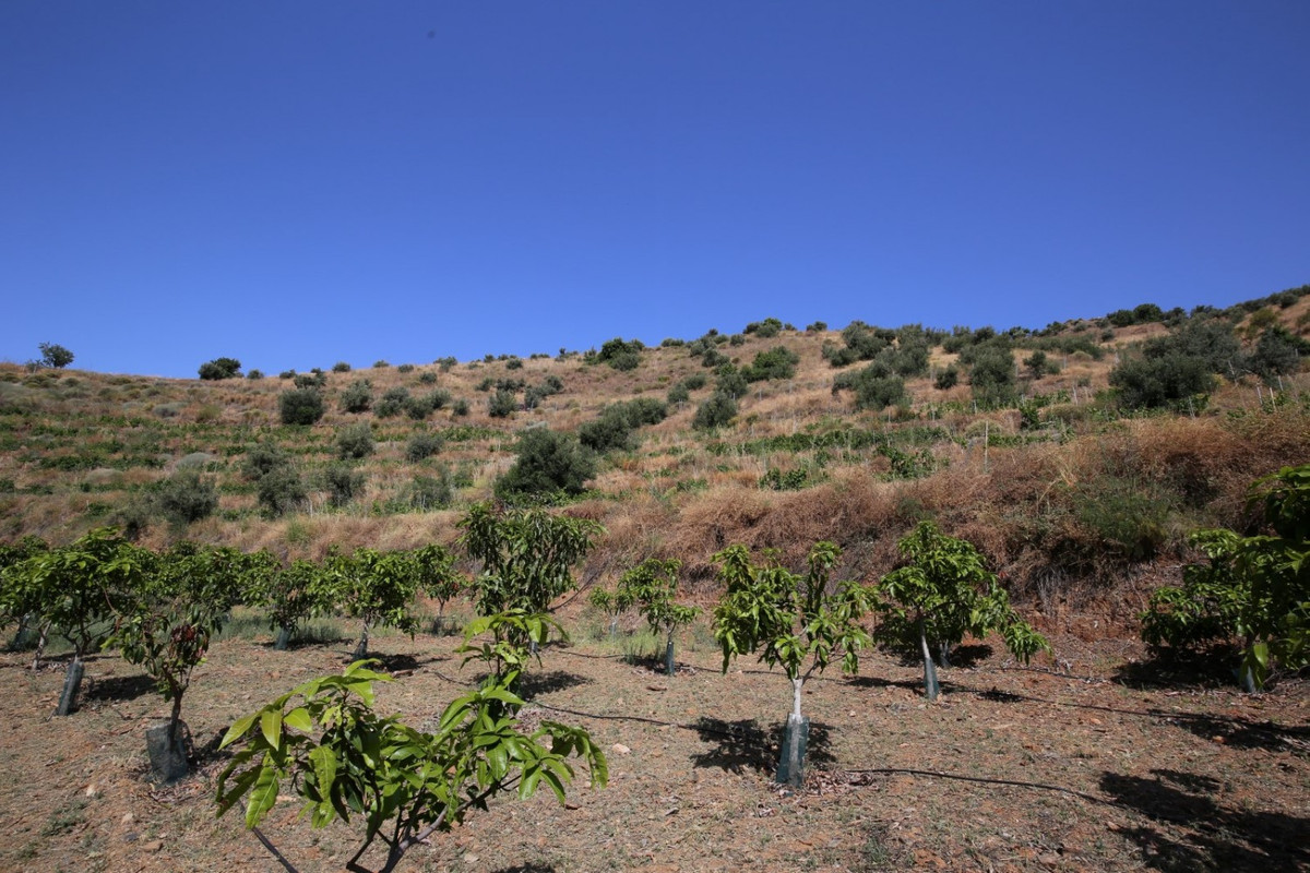 1 Bed Plots for sale in Totalán Costa Del Sol East, Málaga, Spain