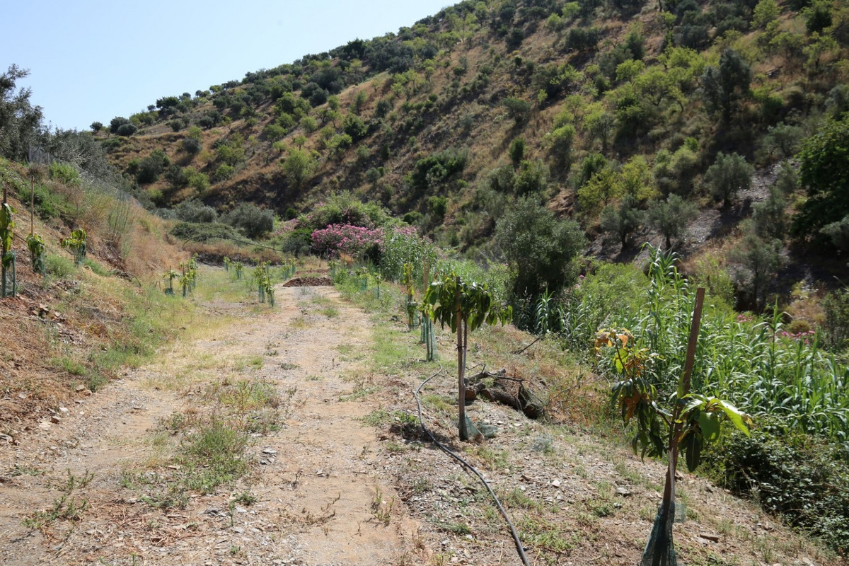 1 Bed Plots for sale in Totalán Costa Del Sol East, Málaga, Spain