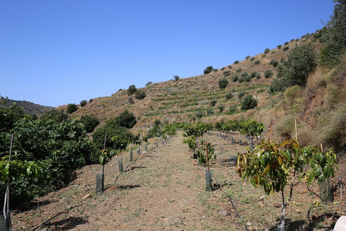 1 Bed Plots for sale in Totalán Costa Del Sol East, Málaga, Spain
