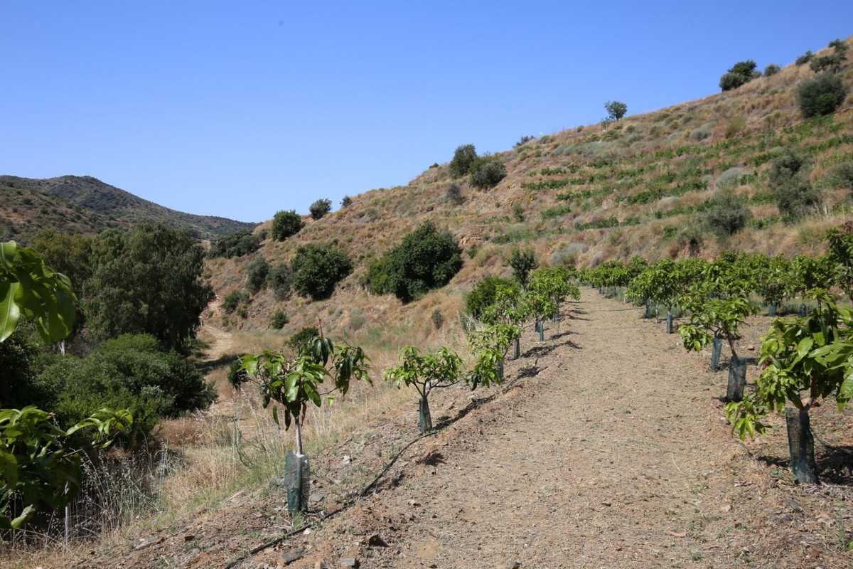 1 Bed Plots for sale in Totalán Costa Del Sol East, Málaga, Spain