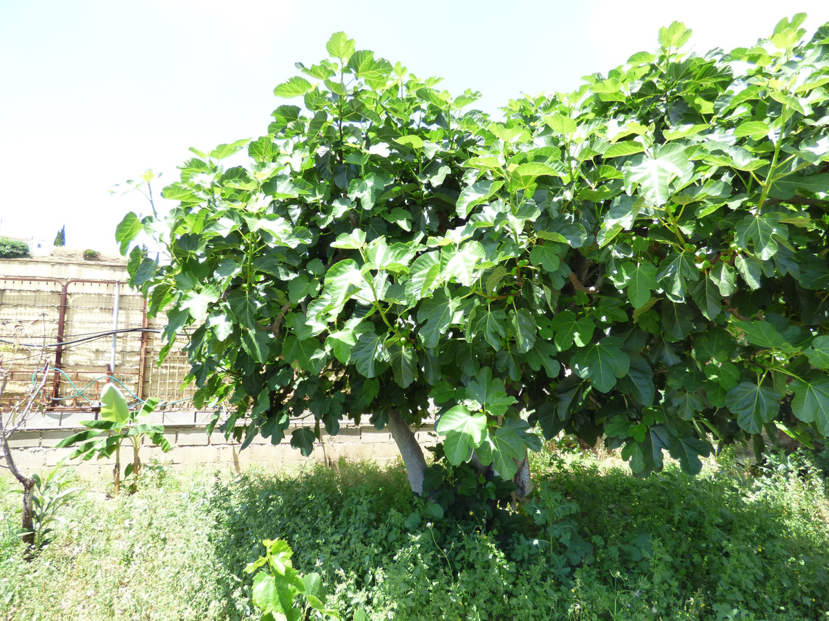 Plots for sale in El Hornillo Costa Del Sol East, Málaga, Spain