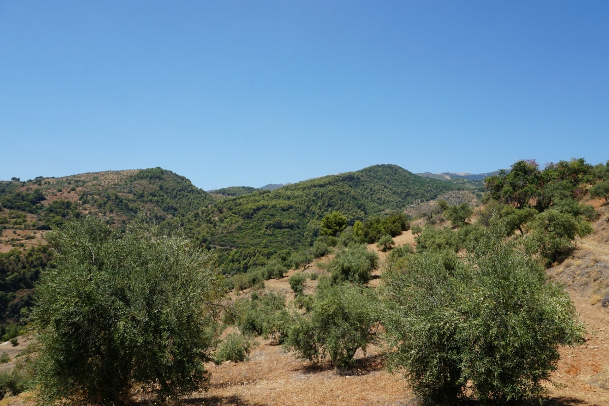 Se vende Finca - Cortijo de 3 dormitorios en Costa Del Sol, Málaga, España