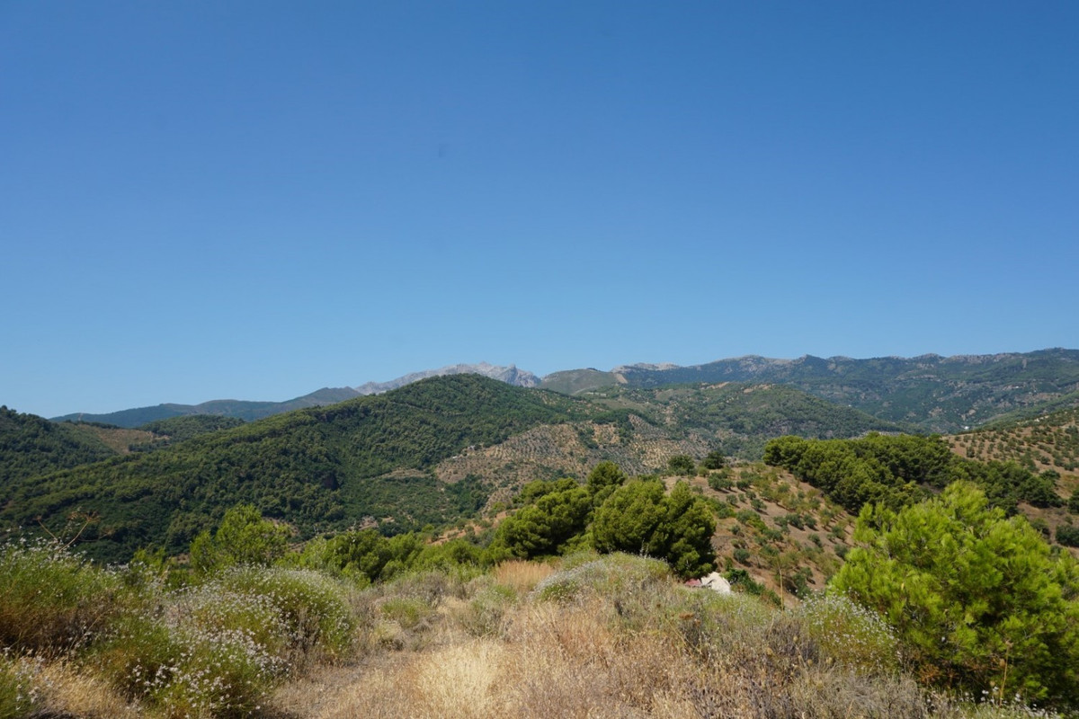 Se vende Finca - Cortijo de 3 dormitorios en Costa Del Sol, Málaga, España