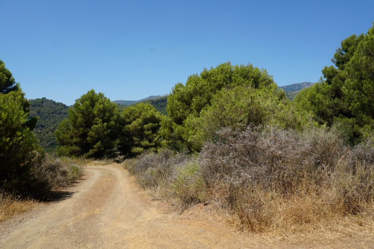 Se vende Finca - Cortijo de 3 dormitorios en Costa Del Sol, Málaga, España