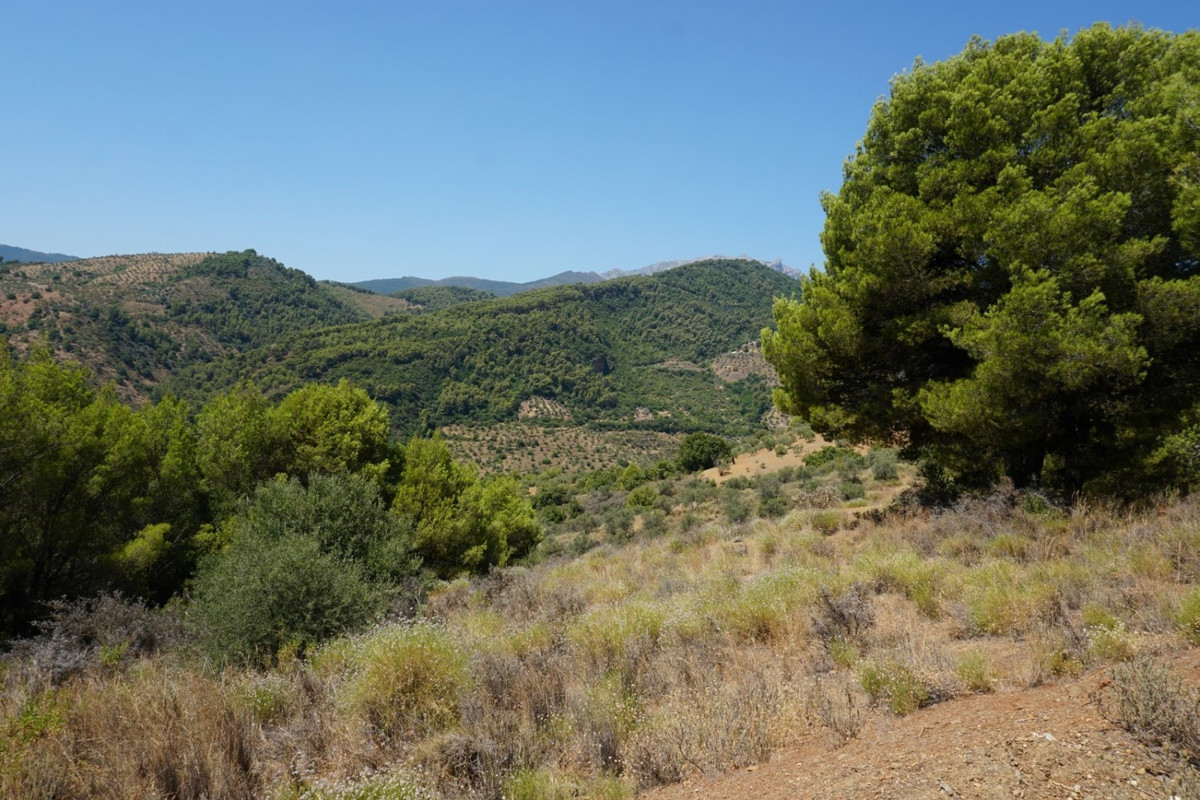 Se vende Finca - Cortijo de 3 dormitorios en Costa Del Sol, Málaga, España
