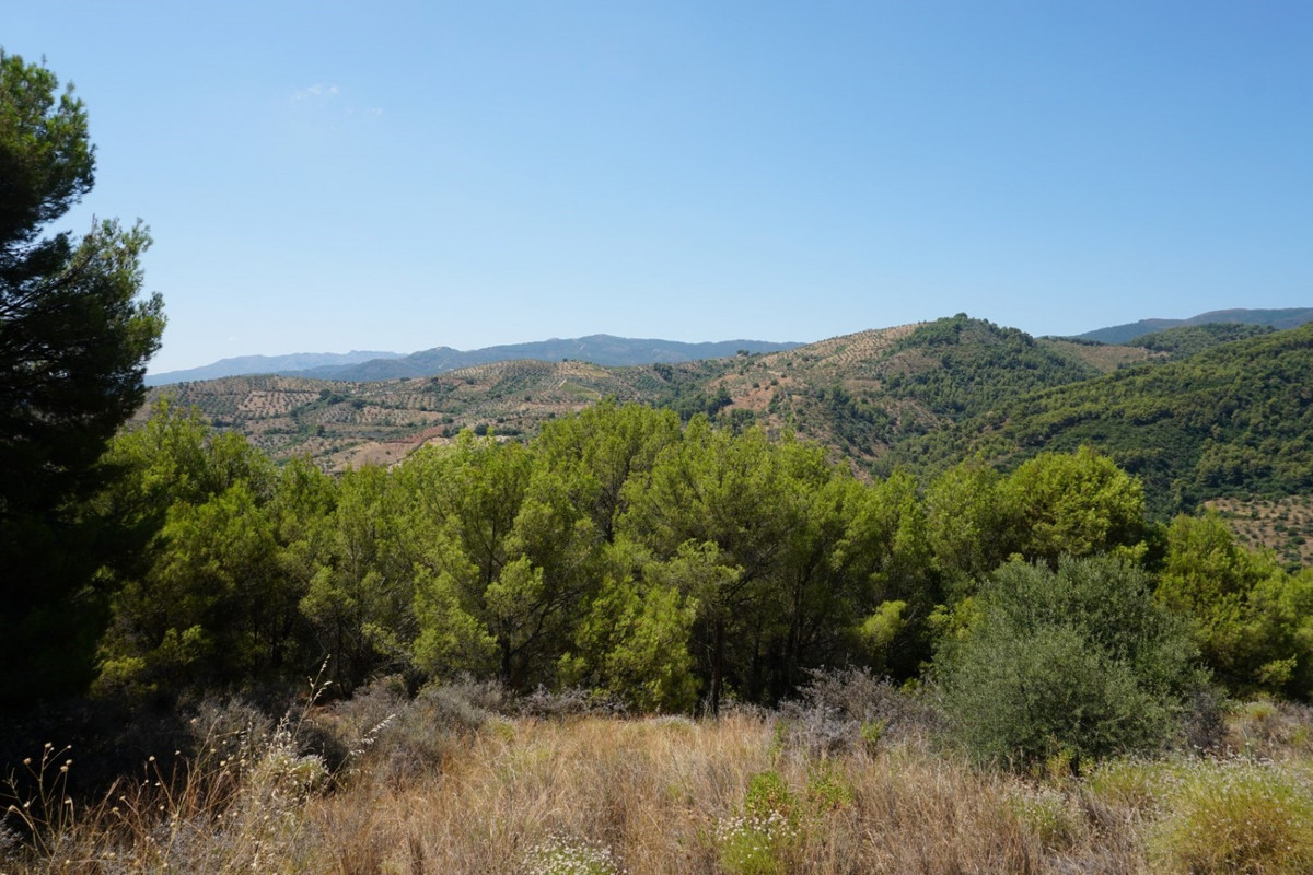 Se vende Finca - Cortijo de 3 dormitorios en Costa Del Sol, Málaga, España