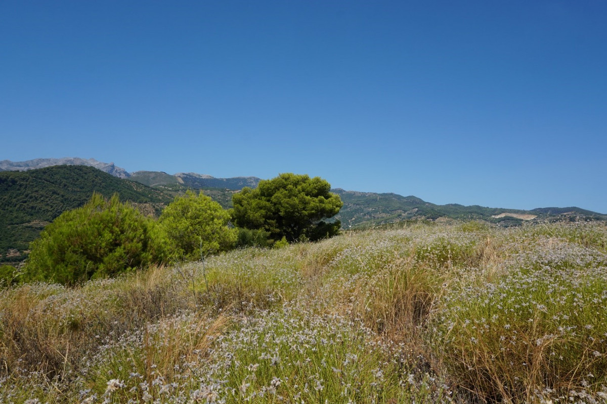 Se vende Finca - Cortijo de 3 dormitorios en Costa Del Sol, Málaga, España