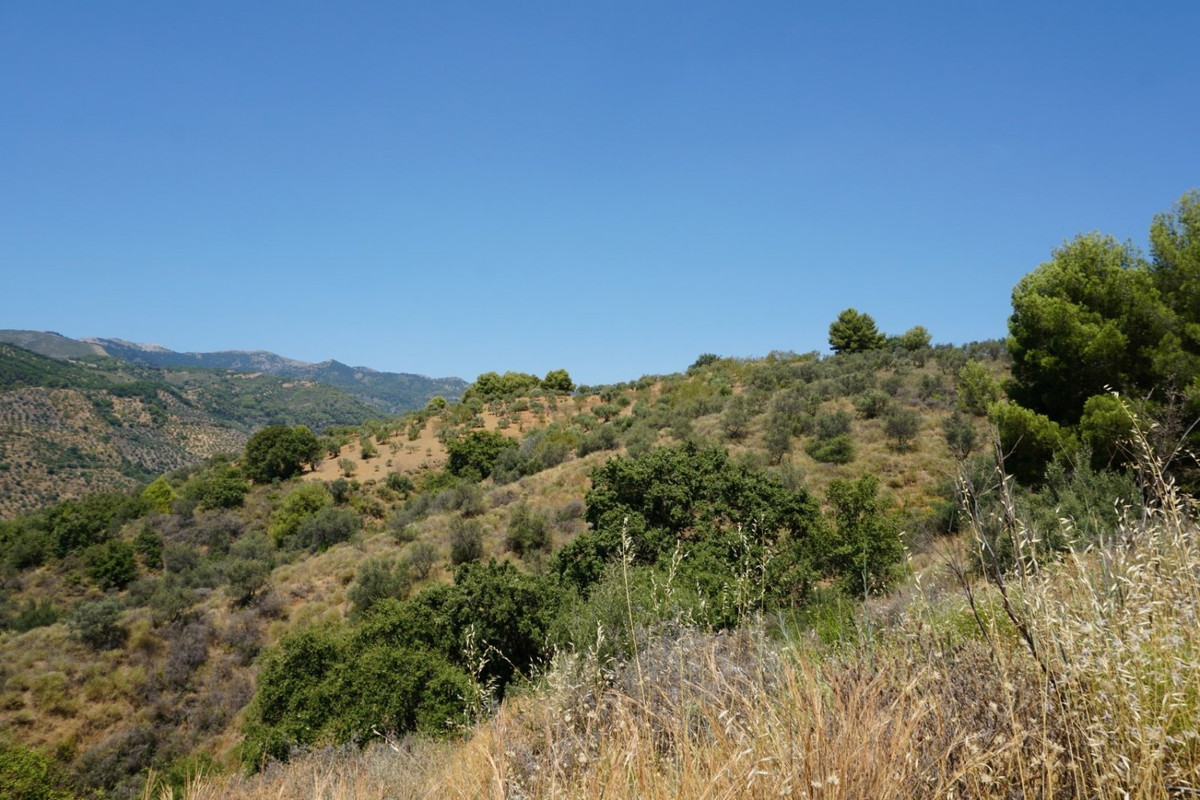 Se vende Finca - Cortijo de 3 dormitorios en Costa Del Sol, Málaga, España