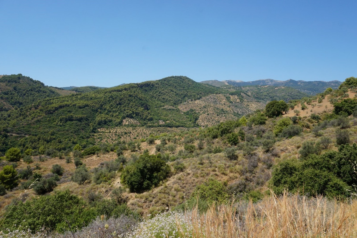 Se vende Finca - Cortijo de 3 dormitorios en Costa Del Sol, Málaga, España