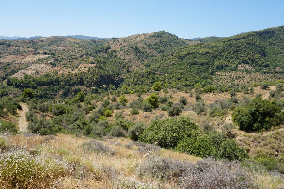 Se vende Finca - Cortijo de 3 dormitorios en Costa Del Sol, Málaga, España