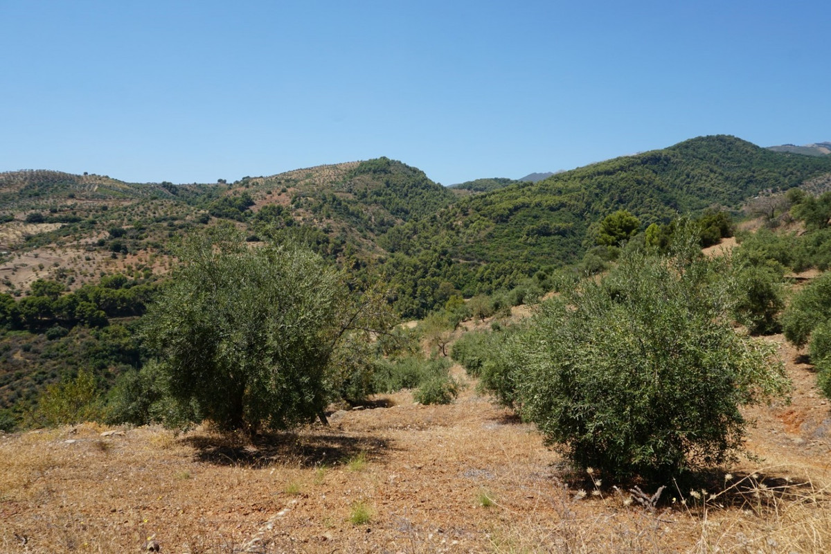 Se vende Finca - Cortijo de 3 dormitorios en Costa Del Sol, Málaga, España